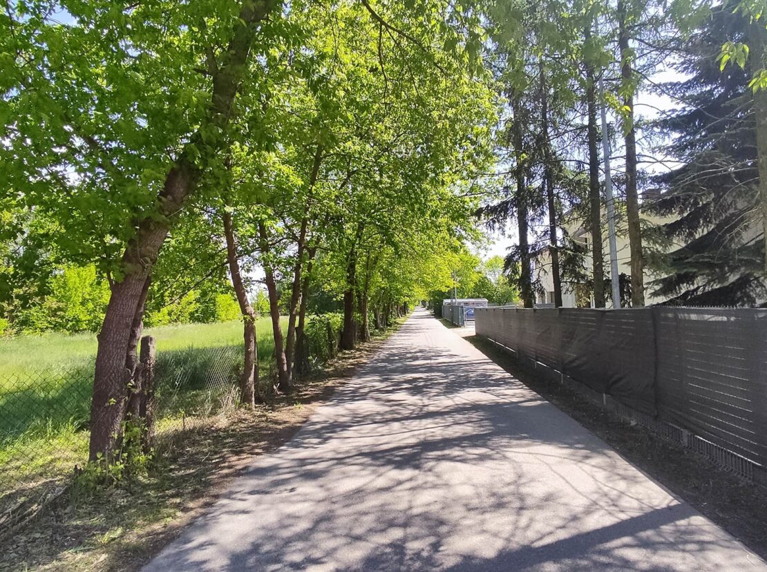 domy pod jabloniami tarczyn 1