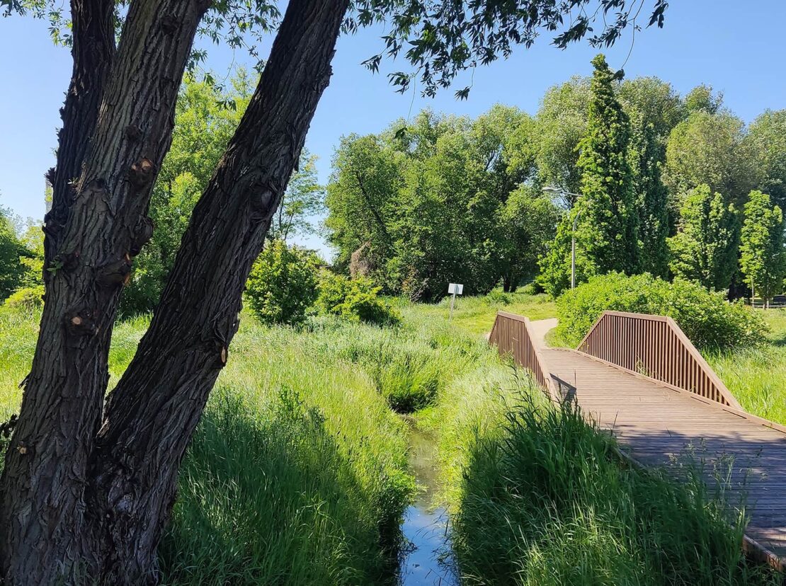 domy pod jabloniami tarczyn 4