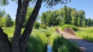 domy pod jabloniami tarczyn 4