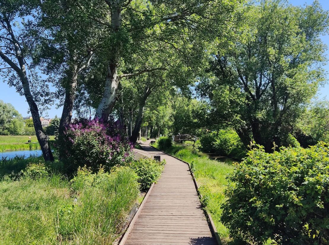 domy pod jabloniami tarczyn 5