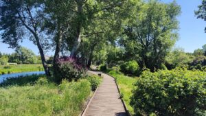 domy pod jabloniami tarczyn 5