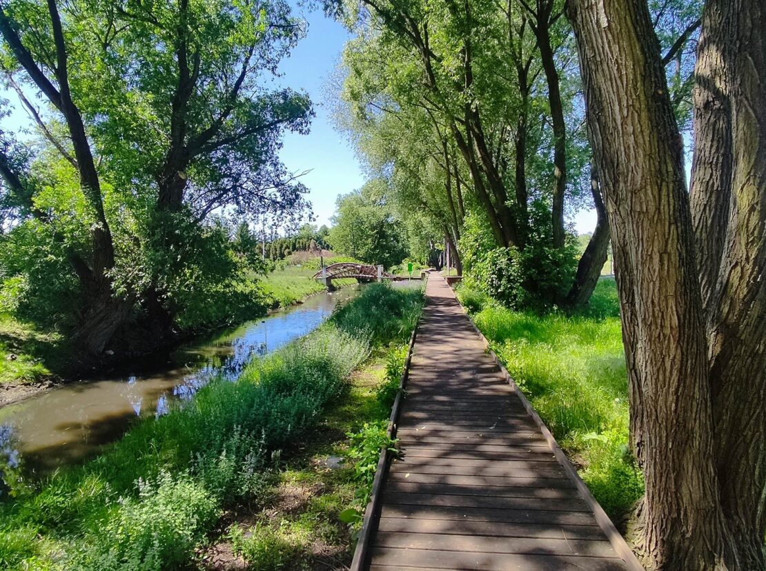 domy pod jabloniami tarczyn 7