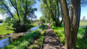 domy pod jabloniami tarczyn 7