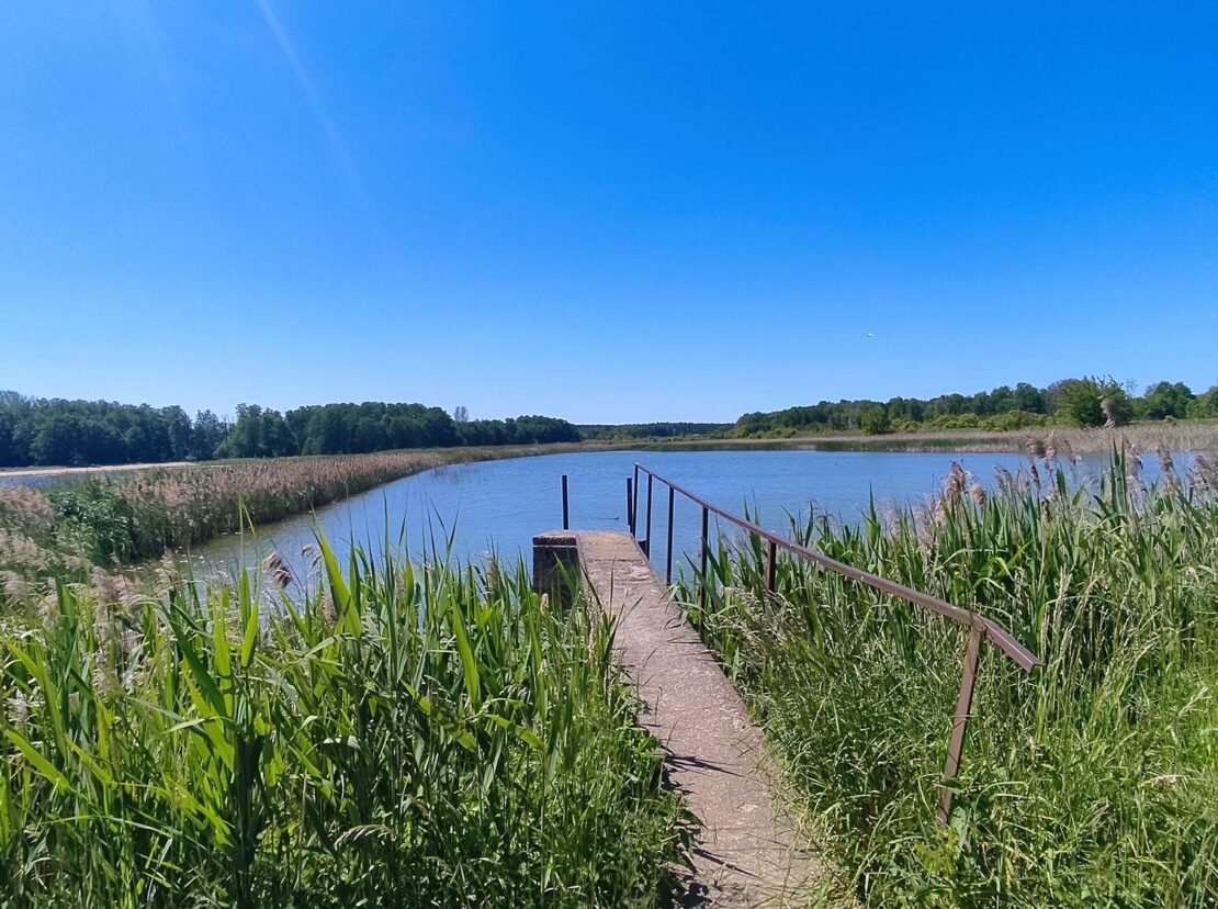 domy pod jabloniami tarczyn 8