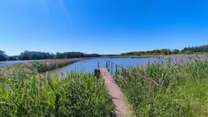 domy pod jabloniami tarczyn 8